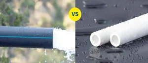 PPR vs PE