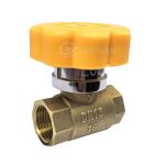 Brass Valves